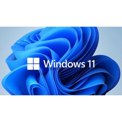 MICROSOFT WINDOWS 11 PROFESSIONAL 64-BIT - DVD. FQC-10528