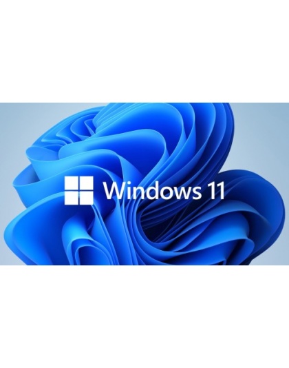 MICROSOFT WINDOWS 11 PROFESSIONAL 64-BIT - DVD. FQC-10528