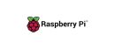 brand_raspberry
