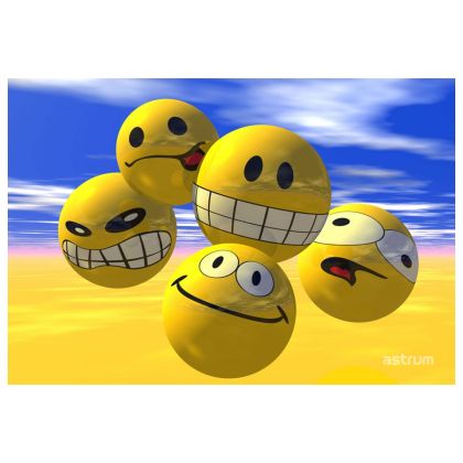 NB200_NOTEBOOK_STICKER_15.6_3D_SMILY