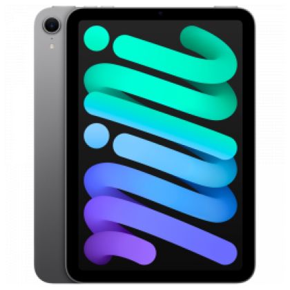 iPad_mini_Wi-Fi_Cellular_128GB_-_Space_Grey