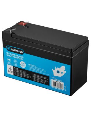 Switched_LiFePO4_Gate_Motor_Alarm_Battery