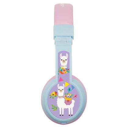 product_41073_305e5f62ad4a.jpg